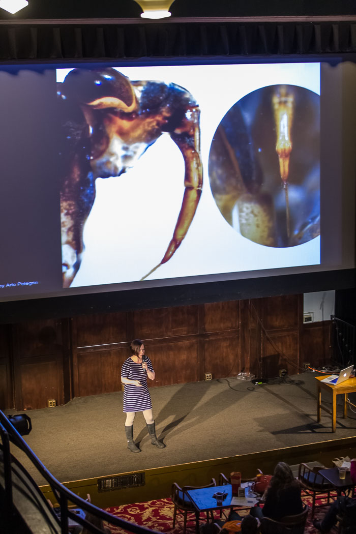 20140401 Waterborne Wonders