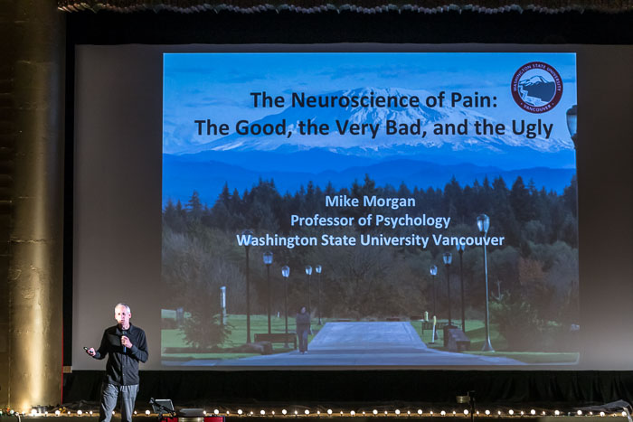 20170614 The Neuroscience of Pain 20170614 The Neuroscience of Pain