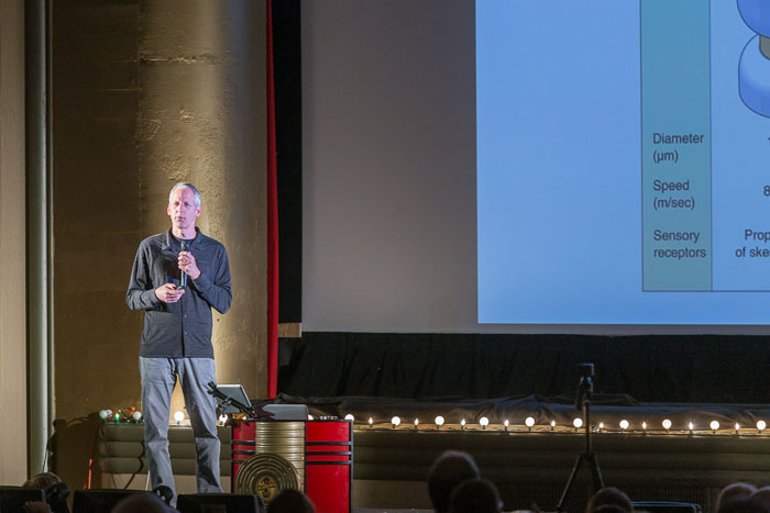 20170614 The Neuroscience of Pain