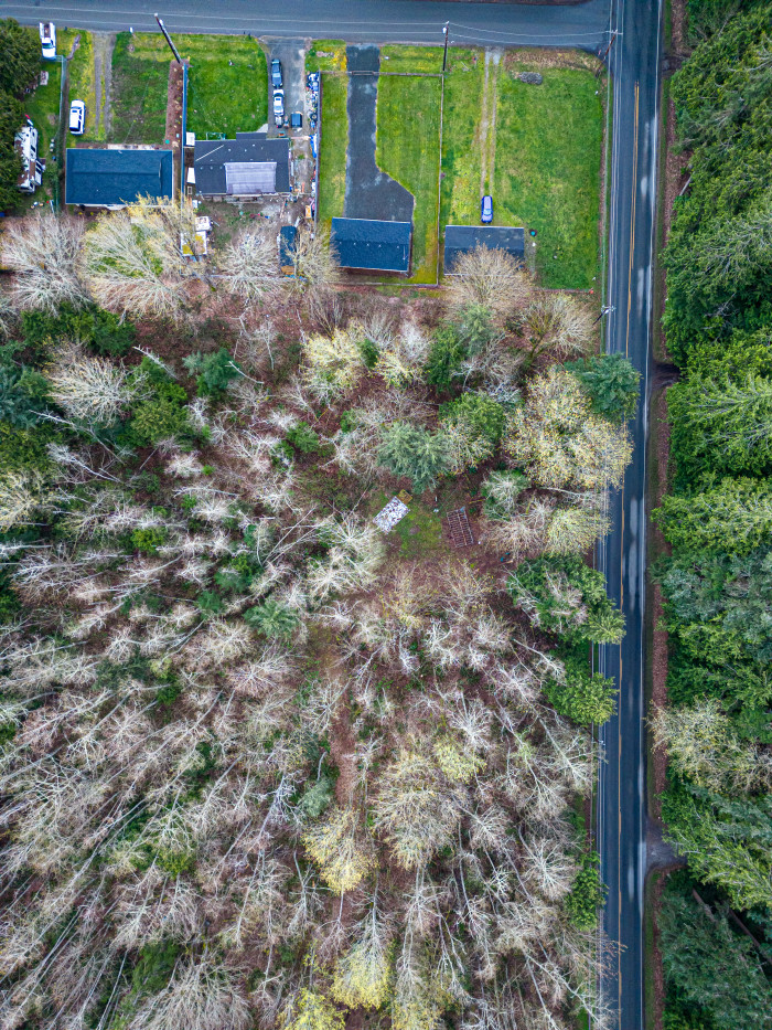 Photos of the property