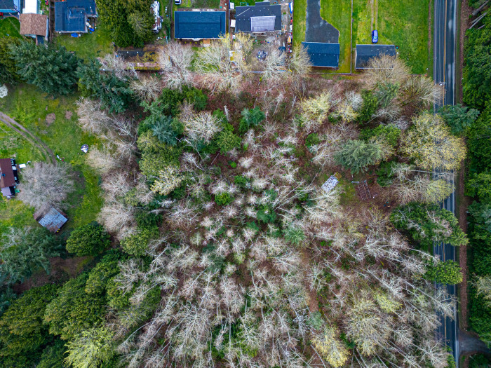 Photos of the property